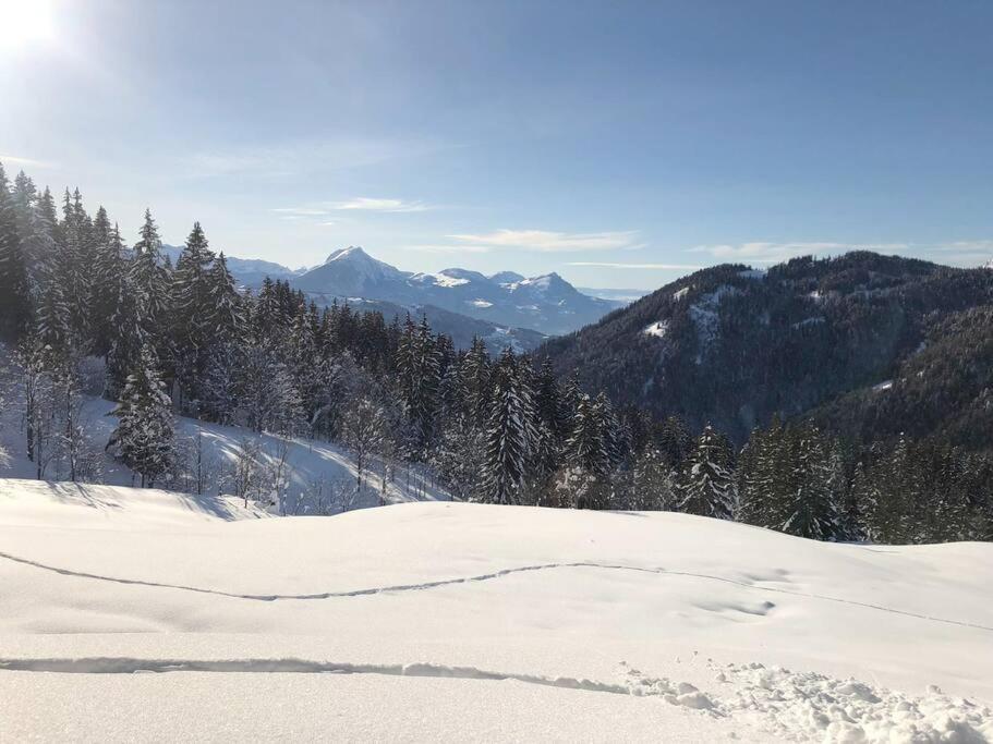Appartement Cosy 3/4 Personnes A 5 Min Des Pistes. Saint-Jean-dʼAulps Dış mekan fotoğraf