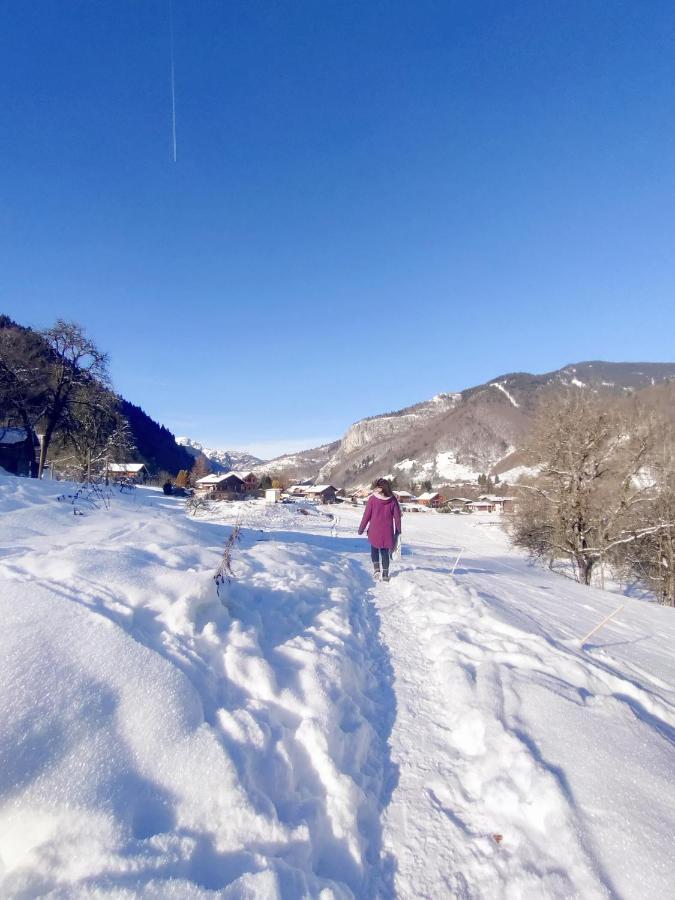 Appartement Cosy 3/4 Personnes A 5 Min Des Pistes. Saint-Jean-dʼAulps Dış mekan fotoğraf